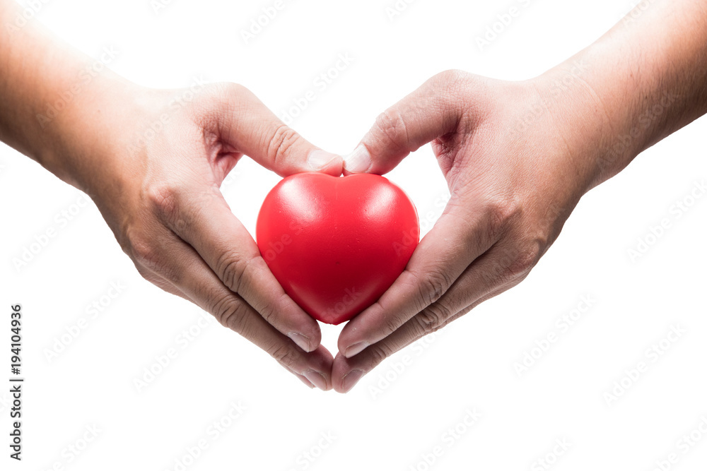 Fototapeta premium Male hands is holding red heart, Health care concept. Isolated on white background