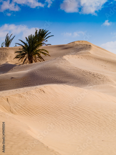 sand dunes in the sahara desert near Douz Tunisia Africa