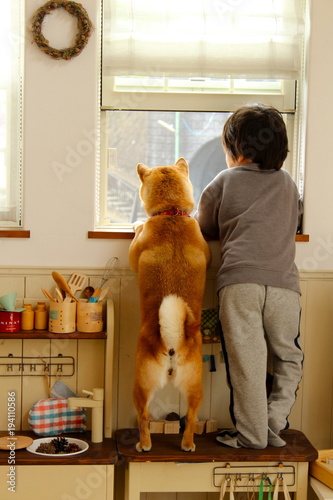 犬と子ども