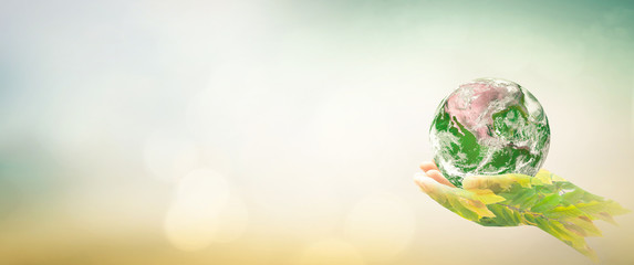 Double exposure of human hands with forest tree and earth globe for environmental conservation concept