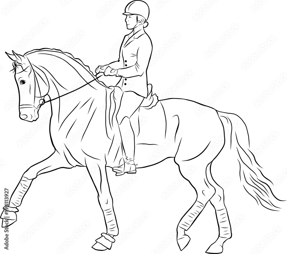 Fototapeta premium A horsewoman on a horse is doing dressage.
