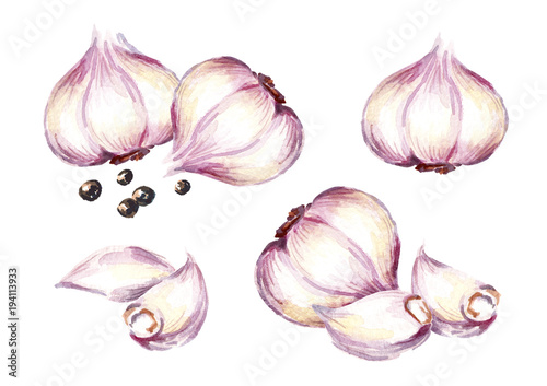 Garlic compositions set. Watercolor hand drawn illustration, isolated on white background