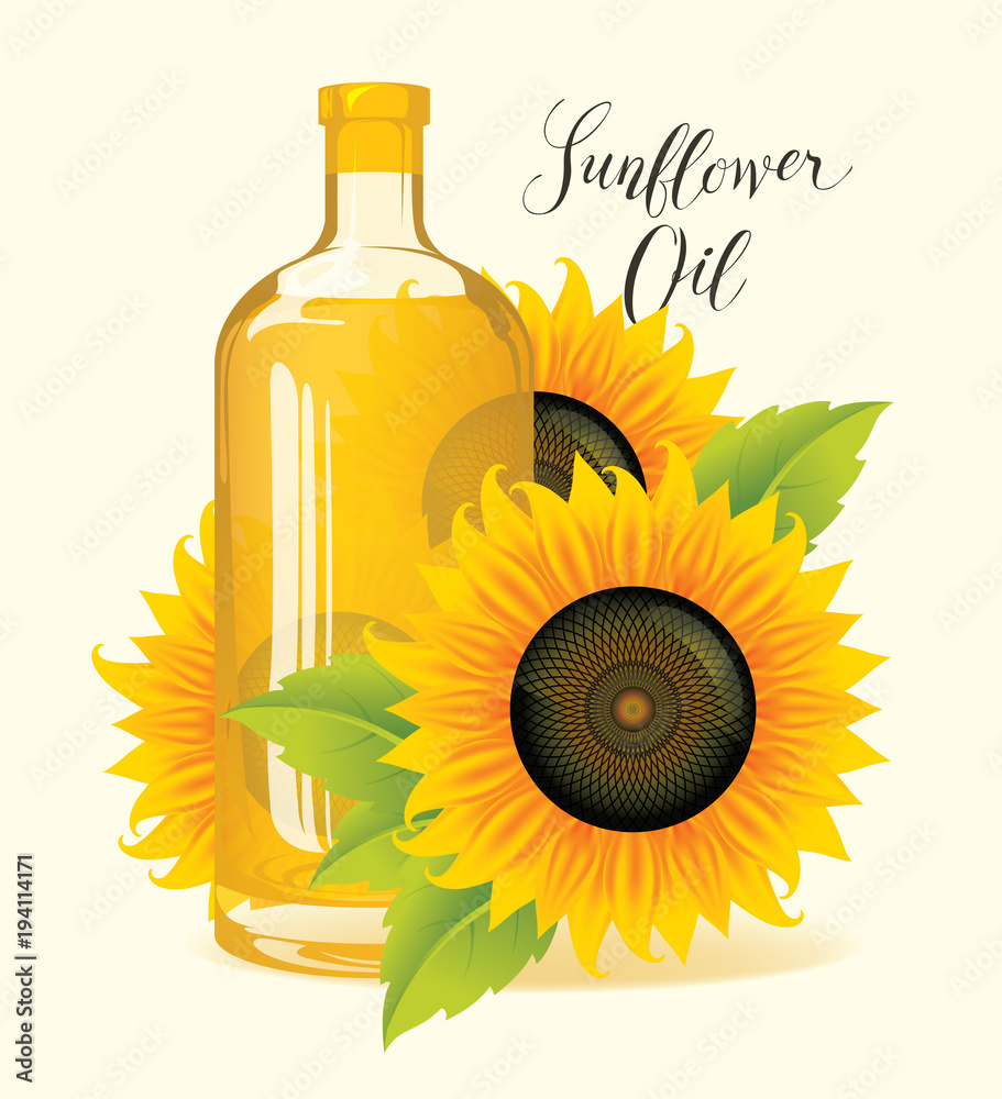 Bottle of sunflower oil with ripe sunflowers and green leaves. Vector