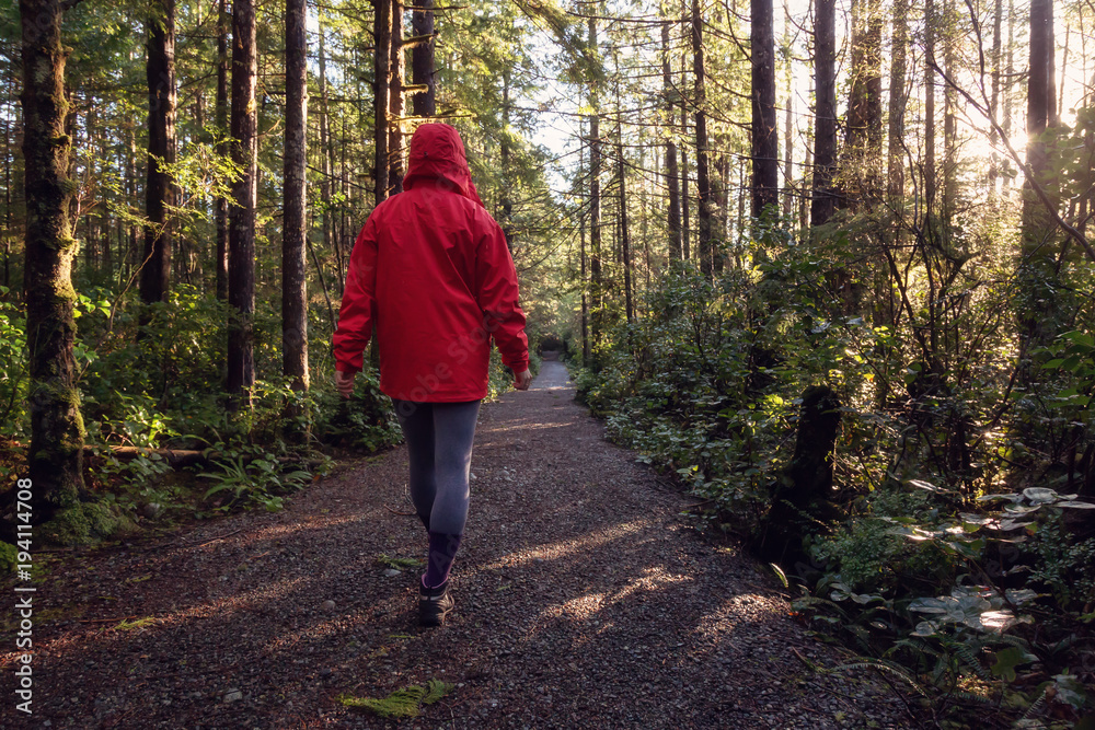 Girl wearing a bright red jacket is walking the the beautiful woods during a vibrant winter morning. Taken in Ucluelet, Vancouver Island, BC, Canada. Girl wearing a bright red jacket is walking the the beautiful woods during a vibrant winter morning. Taken in Ucluelet, Vancouver Island, BC, Canada.