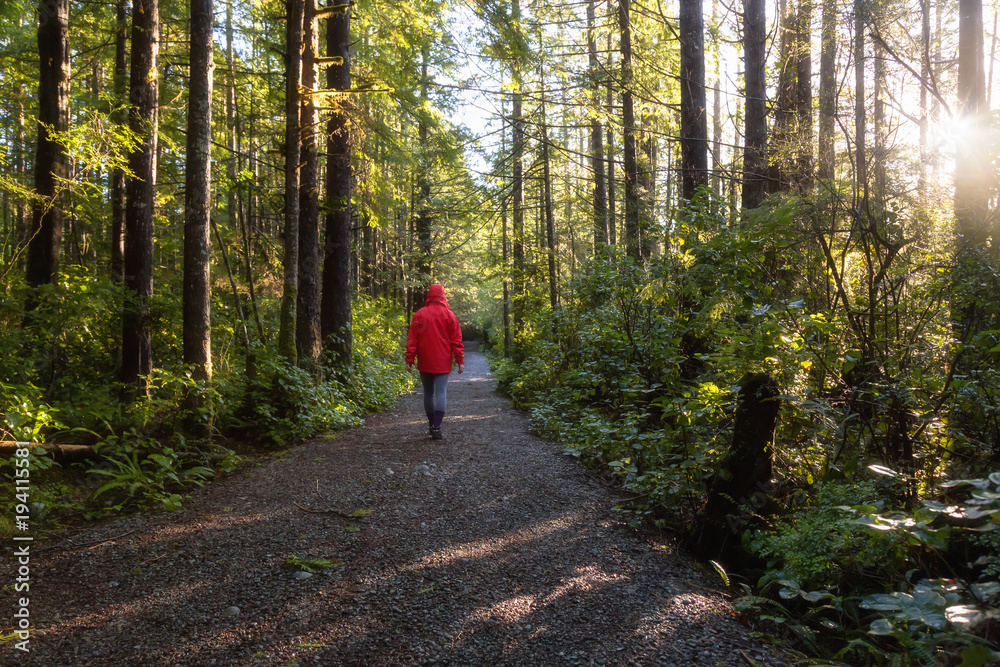 Girl wearing a bright red jacket is walking the the beautiful woods during a vibrant winter morning. Taken in Ucluelet, Vancouver Island, BC, Canada.