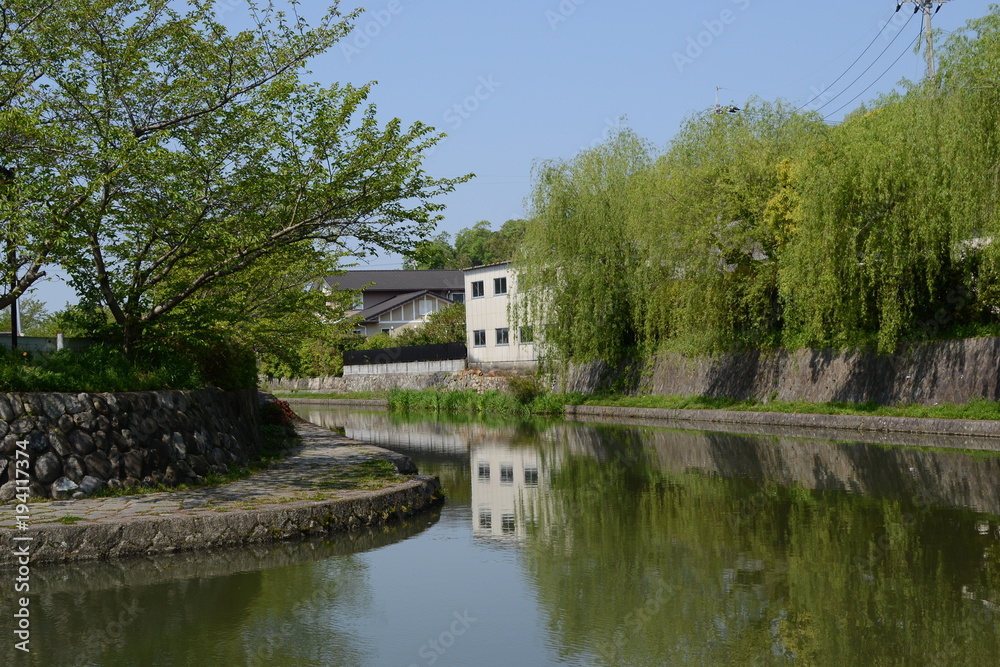 Obraz premium 新緑の八幡堀