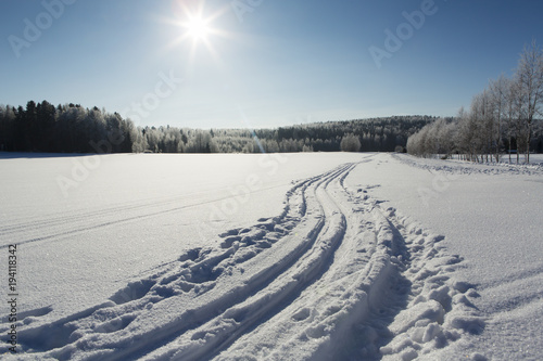 Wallpaper Mural Beautiful winter landscape from Finland. Snowy scenery and blue sky with sun shining. Cold temperature, ski tracks on the deep snow. Frosty birch trees and forest. Torontodigital.ca