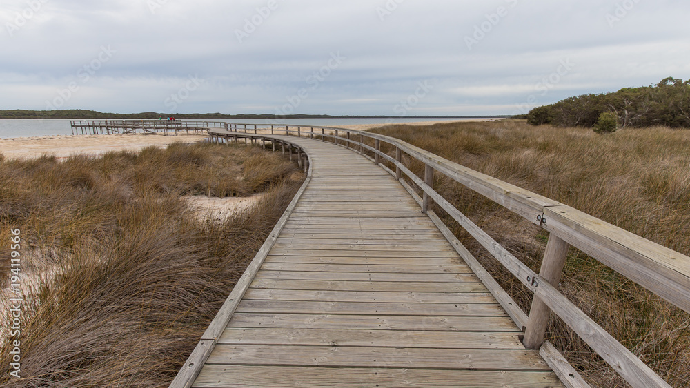 Fototapeta premium board walks