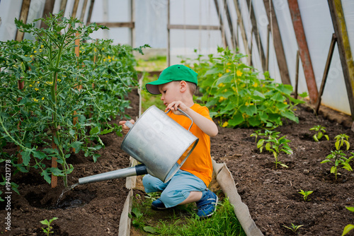 child watering beds in the greenhouse watering can