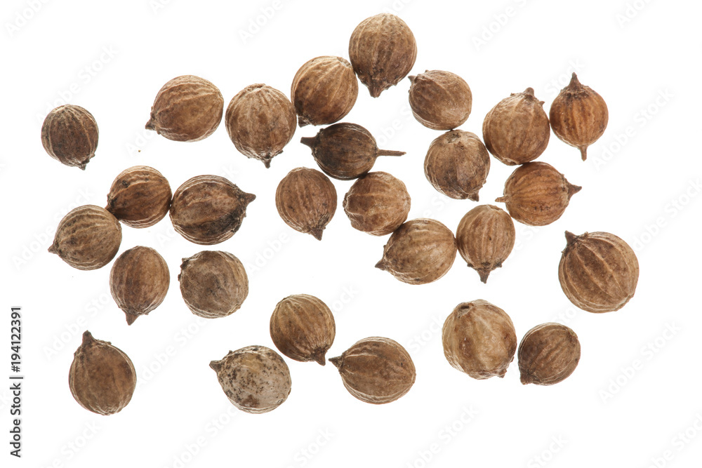 Coriander seeds isolated on white background top view Coriander seeds isolated on white background top view