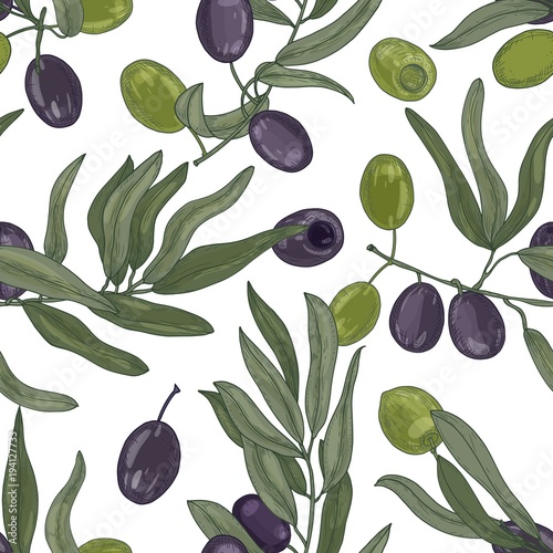 Elegant botanical seamless pattern with olive tree branches with leaves, black and green ripe fruits or drupes on white background. Colorful hand drawn vector illustration for textile print, backdrop.