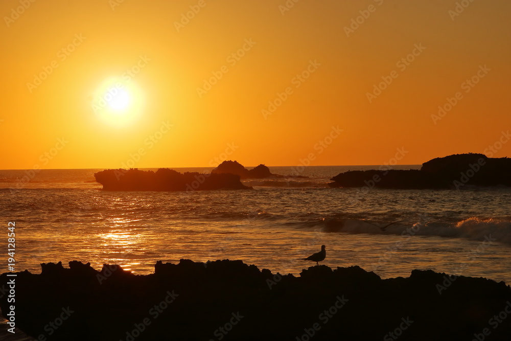 Zachód słońca nad morzem, na pierwszym planie, już w cieniu, nieco rozmyte skały z ptakiem stojącym na nich, rozmyte morze, fale, na wodzie refleksy światła słonecznego, w oddali skały w morzu