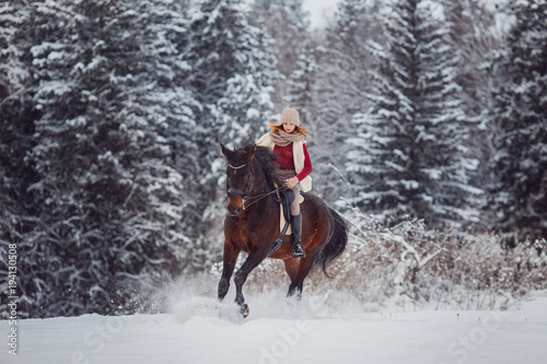 Rider young girl is riding gallop on horse in snow, in background forest. Concept horseback riding