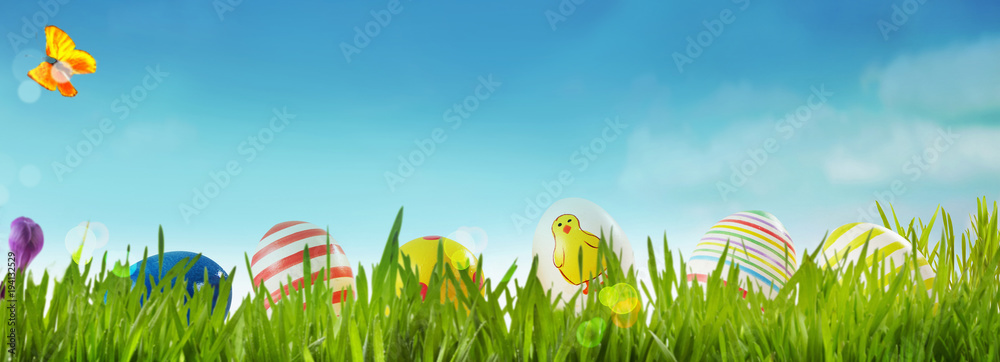 Spring banner with Easter eggs in a meadow