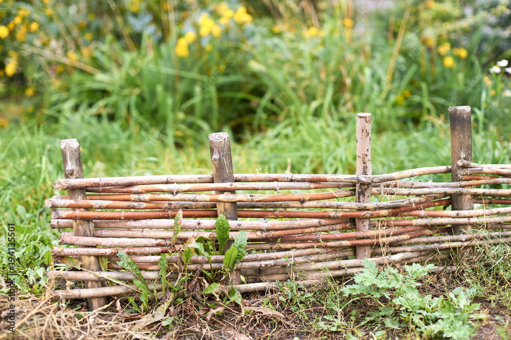 Fototapeta premium Fence woven from twigs. Green bright grass
