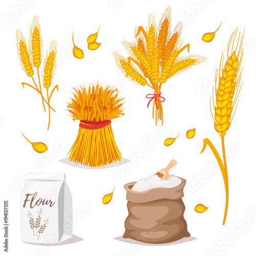 illustration of cereals - wheat.