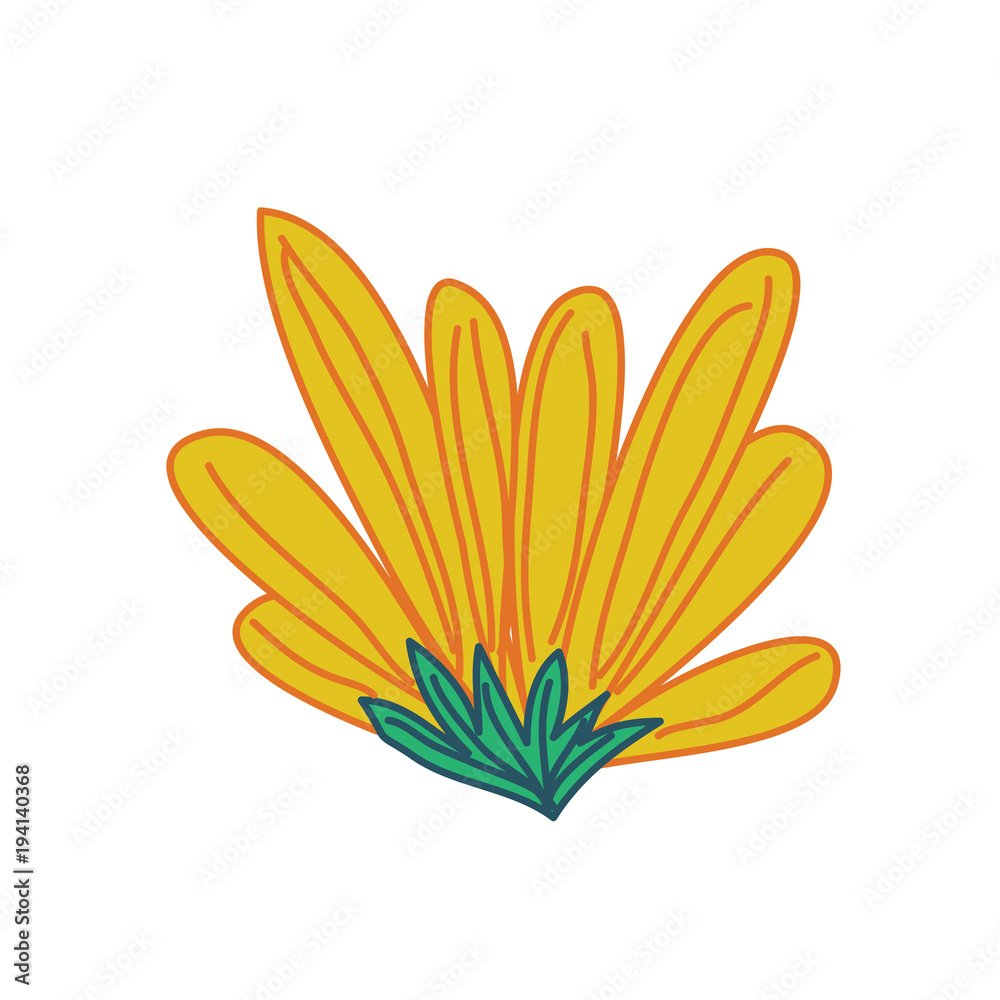 Decorative Tropical Flower Hand Drawn Illustration Decorative Tropical Flower Hand Drawn Illustration