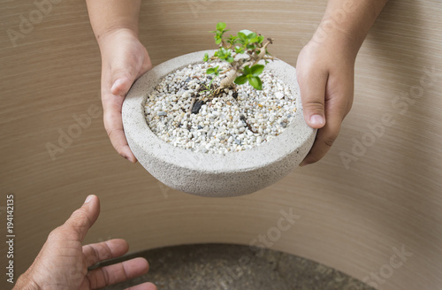 Hand holding a tree showing the gesture extended to another hand