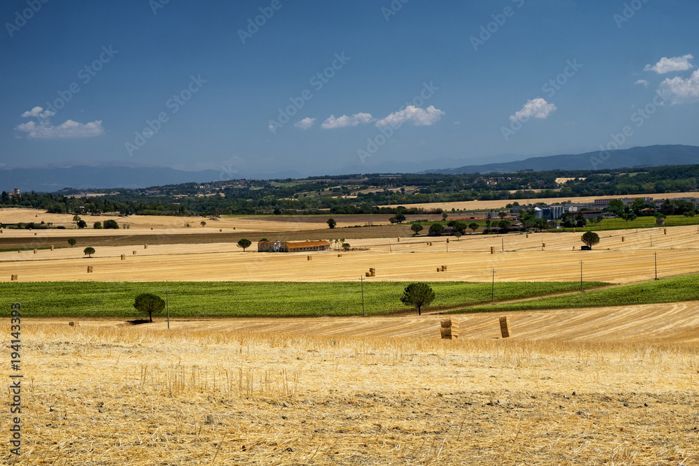 Obraz premium Summer landscape near Perugia