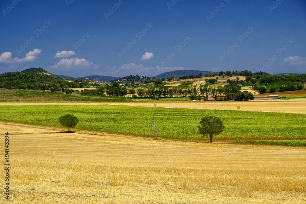 Fototapeta premium Summer landscape near Perugia