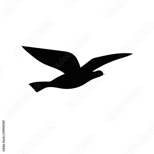 Vector silhouette of bird