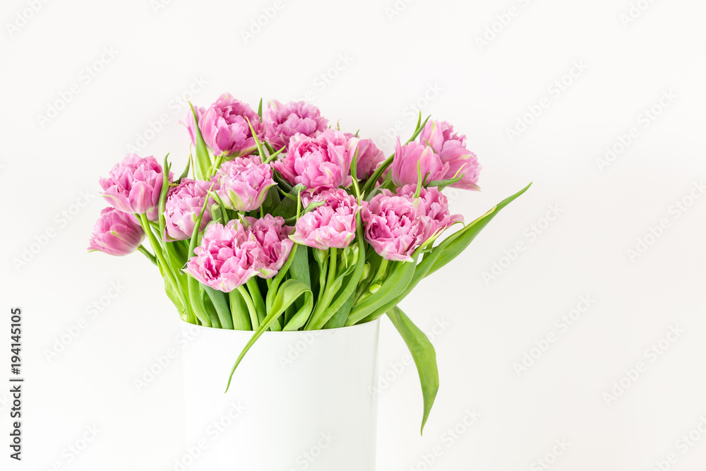 Bouquet of pink tulips in bucket. Fresh spring easter flower. White background , copy space