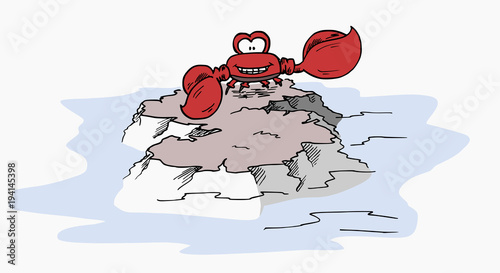 krab op een rots