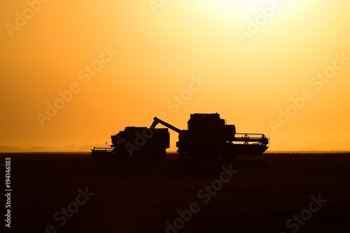 Harvesting by combines at sunset.