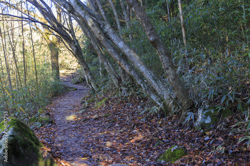 Old traditional trail called Nakasendo in Japan