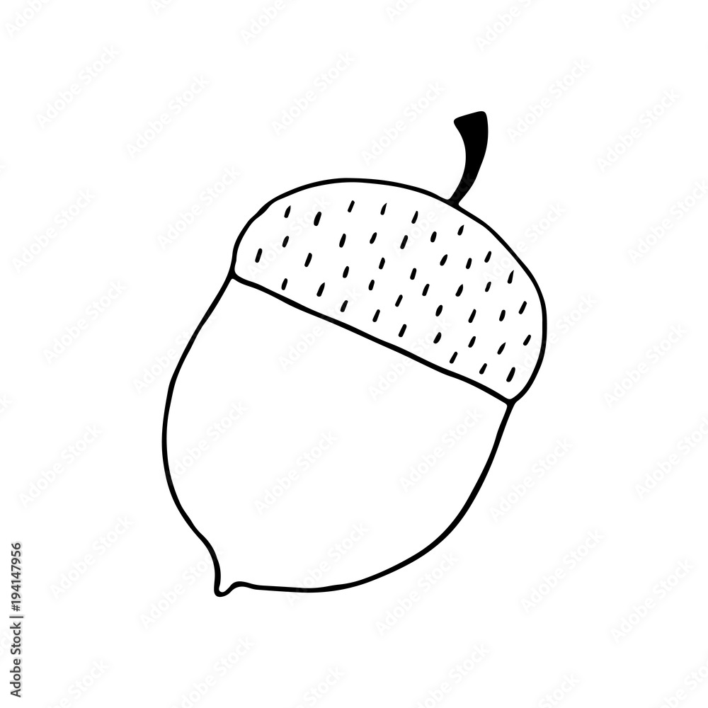 Linear cartoon hand drawn acorn. Cute vector black and white doodle acorn.  Isolated monochrome acorn silhouette on white background. Stock Vector |  Adobe Stock