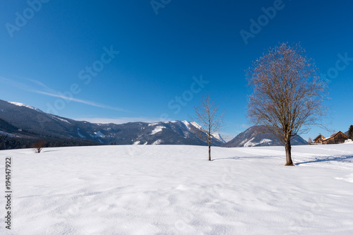 Snowy landscape , winter at austria © Sonja Birkelbach
