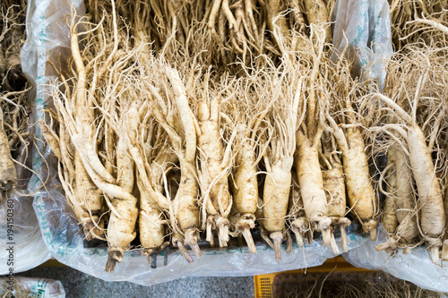 Ginseng Wurzeln auf dem Geumsan Ginseng Markt in Geumsan in  Korea photo