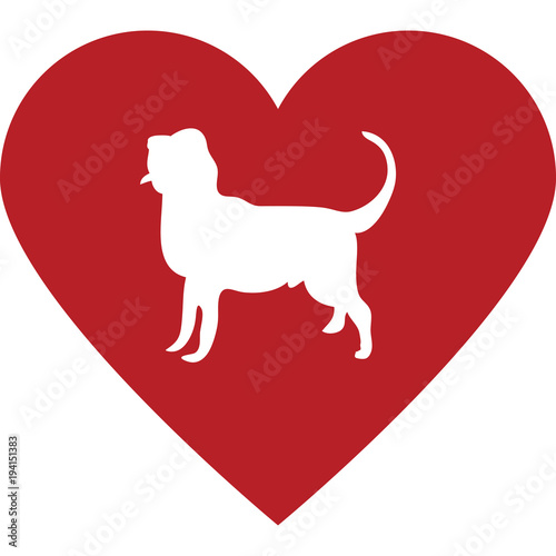 cani