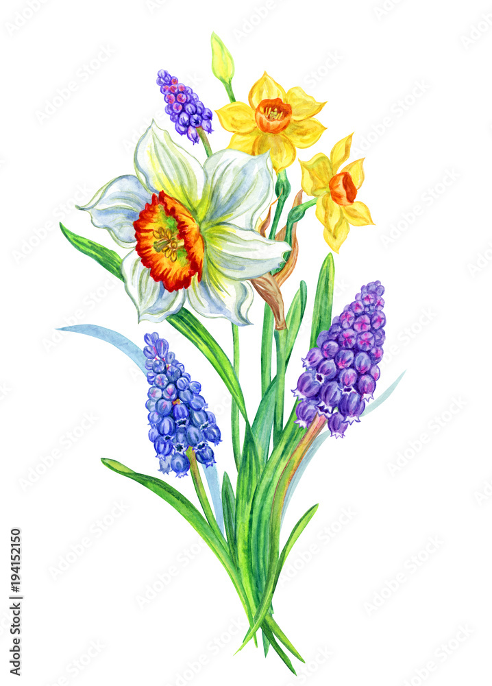 Spring Flower Drawing