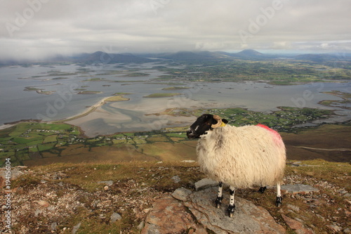 Ireland, County Mayo, Clew Bay. View across the Atlantic coast from Croagh Patrick Mountain 