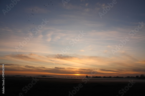 Irish meadow at summer sunset. Fog in the meadow. Mist in the meadow. Sun glow in the meadow. Summer nature © wojciechhajduk