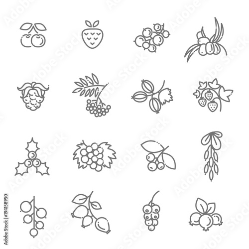 Berries icon set