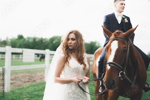 Newly married wedding couple stand with beautiful horse on nature