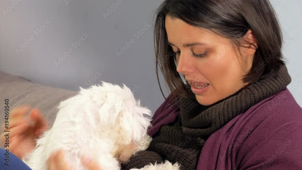 Cute sweet pregnant woman talking to little puppy dog closeup Cute sweet pregnant woman talking to little puppy dog closeup