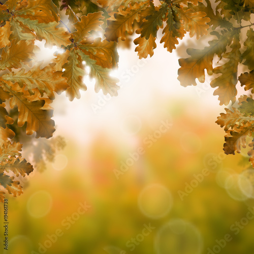 Autumn Background with Orange Oak Leaves  Bokeh Sparkle and Sun light