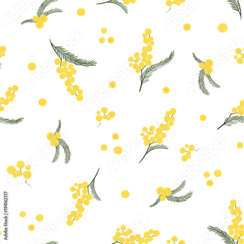 Spring seamless pattern with branches of mimosa. Vector.