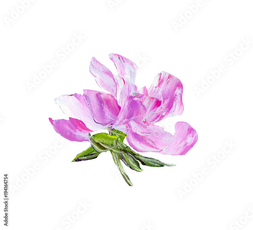 Hand painted modern style purple flower isolated on white background. Spring flower seasonal nature card. Oil painting