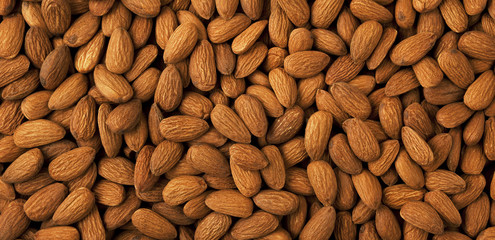 Almond background panorama.
