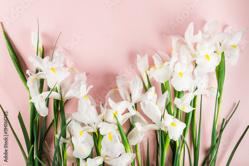 Fototapeta Naklejka Na Ścianę i Meble -  Bouquet of Beautiful Iris Flowers