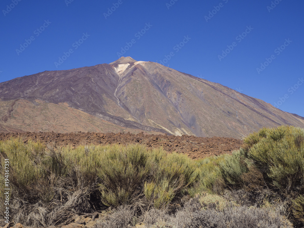 view on colorful volcano pico del teide highest spanish mountain in tenerife canary island with green bushes and clear blue sky background
