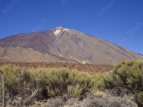 view on colorful volcano pico del teide highest spanish mountain in tenerife canary island with green bushes and clear blue sky background