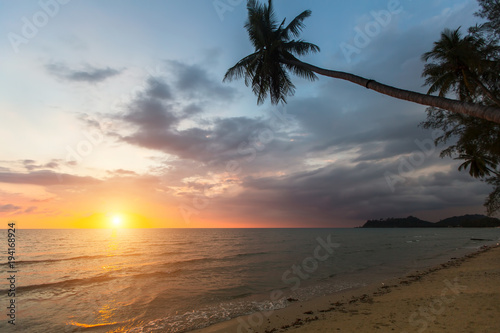 Palm trees on a tropical sea beach during sunset.