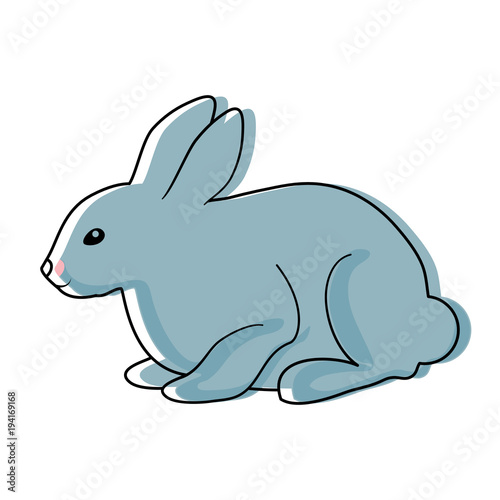 rabbit animal icon