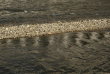 Composition of pebbles in the Treska river