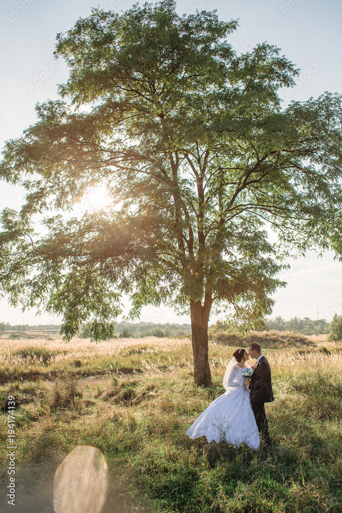 Bride and groom hug each other tender standing before a tall tree on the field Bride and groom hug each other tender standing before a tall tree on the field